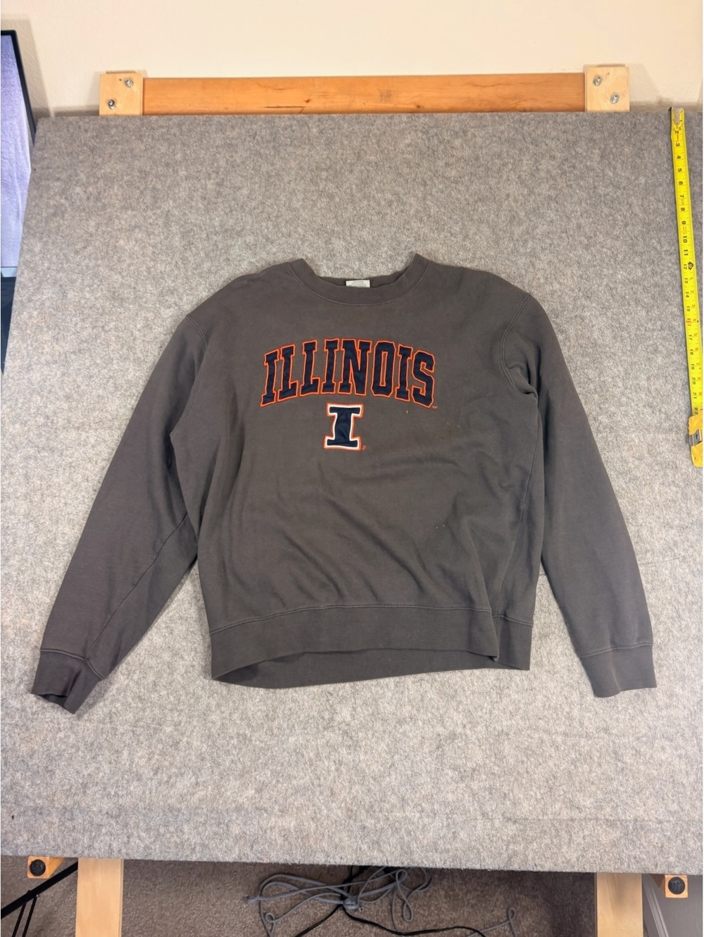 Vintage Y2K Illinois college gray sweatshirt mens size XL